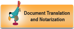 document translation